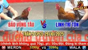 Trận 9 CPC5 29/10/2025 - Anh Bảo Vũng Tàu Và Anh Linh Trí Tôn