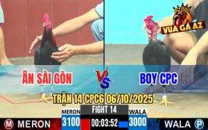Trận 14 CPC6 6/10/2025