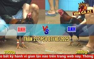 Trận 21 CPC4 7/10/2025