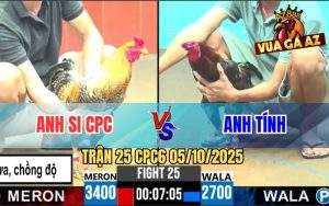 Trận 25 CPC6 5/10/2025