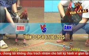 Trận 3 CPC4 7/10/2025