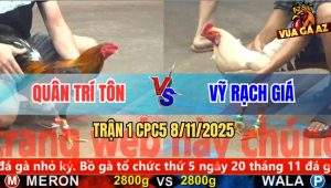Trận 1 CPC5 8/11/2025 - Anh Quân Trí Tôn Và Anh Vỹ Rạch Giá
