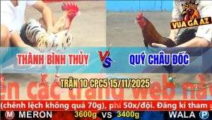 Trận 10 CPC5 15/11/2025 - Anh Thành Bình Thủy Và Anh Quý Châu Đốc