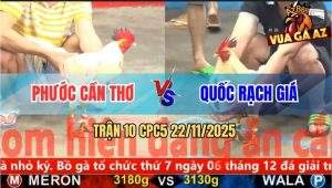 Trận 10 CPC5 22/11/2025 - Xanh Đi Bạc Đỏ Đâm Cây Nách Ra Mau Lỏng