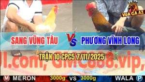 Trận 10 CPC5 7/11/2025 - Anh Sang Vũng Tàu Và Anh Phương Vĩnh Long