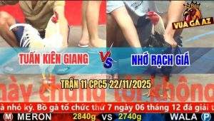 Trận 11 CPC5 22/11/2025 - Gà Bướm Đá Quá Đâm Chuối Lọt Nằm Xòe Cánh