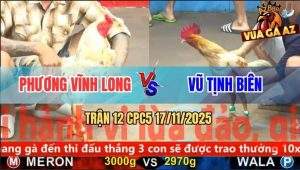 Trận 12 CPC5 17/11/2025 - Camelo Anh Vũ Gục Ngã Ngay Pha Giao Nạp Đầu