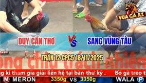 Trận 12 CPC5 18/11/2025 - Gà Xám Anh Sang Quá Trâu, Que Đâm Không Thấm