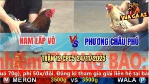 Trận 12 CPC5 24/11/2025 - Bướm Hiệu Anh Phương Ra Cựa Như Sét Đánh