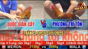 Trận 12 CPC5 3/11/2025 - Anh Quốc Giàn Cày Và Anh Phương Trí Tôn