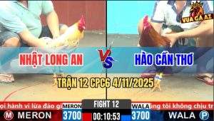 Trận 12 CPC6 4/11/2025 - Cùng Bến Bướm Ra Chân Nhanh Hơn Điều Gãy Giò