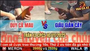Trận 13 CPC5 10/11/2025 - Anh Duy Cà Mau Và Anh Giàu Giàn Cày