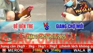 Trận 13 CPC5 19/11/2025 - Bướm Ra Chân Tịch Hạ Điều Anh Bé Nhẹ Nhàng