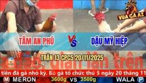 Trận 13 CPC5 20/11/2025 - Bướm Chân Trắng Dứt Điểm Xám Trong Nốt Nhạc