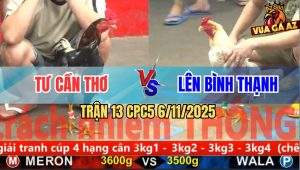 Trận 13 CPC5 6/11/2025 - Điều Bông Đá Toàn Đầu Cần Bướm Hết Sống