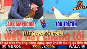 Trận 14 CPC5 10/11/2025 - Anh Âu Campuchia Và Anh Tôn Trí Tôn