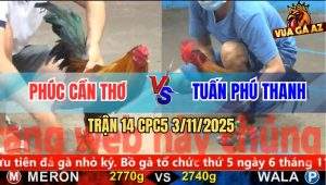 Trận 14 CPC5 3/11/2025 - Anh Phúc Cần Thơ Và Anh Tuấn Phú Thanh
