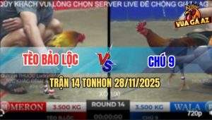 Trận 14 TonHon 28/11/2025 - Tèo Bảo Lộc Tái Xuất Không Được May Mắn