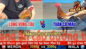 Trận 15 CPC5 18/11/2025 - Điều Chân Xanh Bú Xám Mồng Dâu Ói Tiền