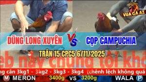 Trận 15 CPC5 6/11/2025 - Gà Điều Anh Cọp CPC Nhỏ Mà Có Võ