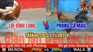 Trận 16 CPC5 1/11/2025 - Anh Lợi Vĩnh Long Và Anh Phong Cà Mau