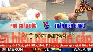 Trận 16 CPC5 16/11/2025 - Anh Phú Châu Đốc Và Anh Tuấn Kiên Giang