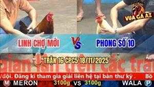Trận 16 CPC5 18/11/2025 - Gà Khét Anh Linh Thắng Tang Vô Trong Bỏ Mặt