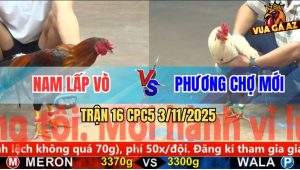Trận 16 CPC5 3/11/2025 - Anh Nam Lấp Vò Và Anh Phương Chợ Mới