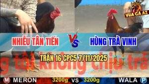 Trận 16 CPC5 7/11/2025 - Anh Nhiễu Tân Tiến Và Anh Hùng Trà Vinh