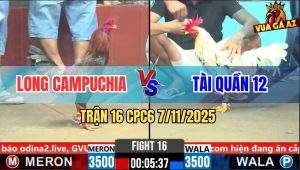 Trận 16 CPC6 7/11/2025 - Bướm Đá Toàn Chân Chí Mạng, Xanh Vô Chỉ Có Hư