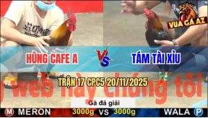 Trận 17 CPC5 20/11/2025 - Anh Hùng Cafe A Gặp Anh Tám Tài Xỉu
