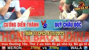 Trận 17 CPC5 4/11/2025 - Anh Cường Diễn Thành Và Anh Quý Châu Đốc