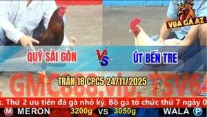 Trận 18 CPC5 24/11/2025 - Gà Phèn Anh Quý Bú Được Cây Lưng Úa Ói Tiền