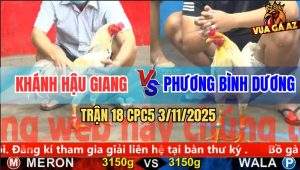 Trận 18 CPC5 3/11/2025 - Anh Khánh Hậu Giang Và Anh Phương Bình Dương
