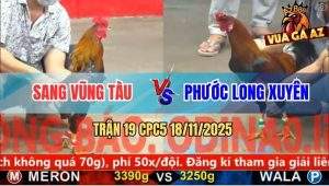 Trận 19 CPC5 18/11/2025 - Điều Đỏ Bị Phá Đôi Vô Kính Có Chân Xạo Lờ