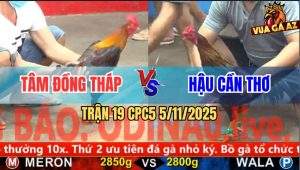 Trận 19 CPC5 5/11/2025 - Anh Tâm Đồng Tháp Và Anh Hậu Cần Thơ
