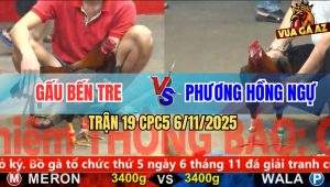 Trận 19 CPC5 6/11/2025 - Điều Cọp Anh Gấu Đá Cây Nghiệt Xanh Gãy Giò
