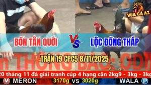 Trận 19 CPC5 8/11/2025 - Anh Bốn Tân Quới Và Anh Lộc Đồng Tháp