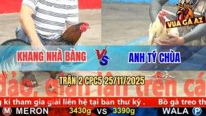 Trận 2 CPC5 25/11/2025 - Bướm Hiệu Anh Tý Chùa Bị Đá Ói Không Kịp Chạy