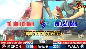 Trận 2 CPC6 1/11/2025 - Điều Đỏ Sút Cây Cần Điều Xanh Chao Đảo