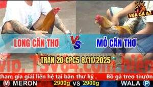 Trận 20 CPC5 8/11/2025 - Anh Long Cần Thơ Và Anh Mỏ Cần Thơ