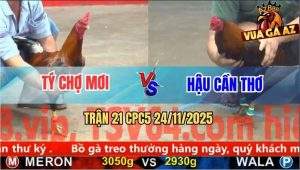 Trận 21 CPC5 24/11/2025 - Hai Con Lên Cá Rô, Xanh Đứng Được Lụm Tiền
