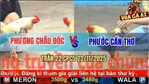 Trận 22 CPC5 22/11/2025 - Gà Cú Anh Phước Đâm Bể Ngực Gà Bướm