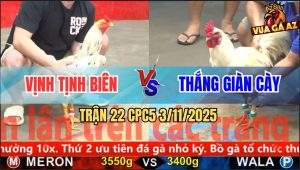 Trận 22 CPC5 3/11/2025 - Anh Vinh Tịnh Biên Và Anh Thắng Giàn Cày