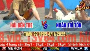 Trận 22 CPC5 4/11/2025 - Anh Hải Bến Tre Và Anh Nhàn Trí Tôn