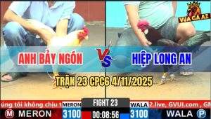 Trận 23 CPC6 4/11/2025 - Que Chặn Chân 1 Bướm Anh Bảy Gãy Giò