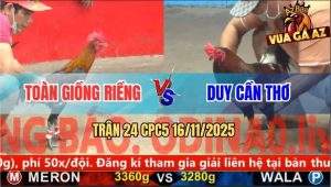 Trận 24 CPC5 16/11/2025 - Anh Toàn Giồng Riềng Và Anh Duy Cần Thơ
