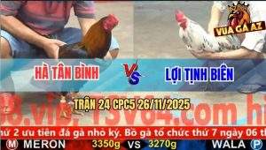 Trận 24 CPC5 26/11/2025 - Bướm Mồng Lá Anh Lợi Đá Như Điện Sẹt