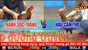 Trận 24 CPC5 3/11/2025 - Anh Thành Sóc Trăng Và Anh Hậu Cần Thơ