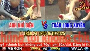 Trận 24 CPC5 6/11/2025 - Gà Bướm Lùa Đá Chuối Nhí Biện Không Kịp Chín